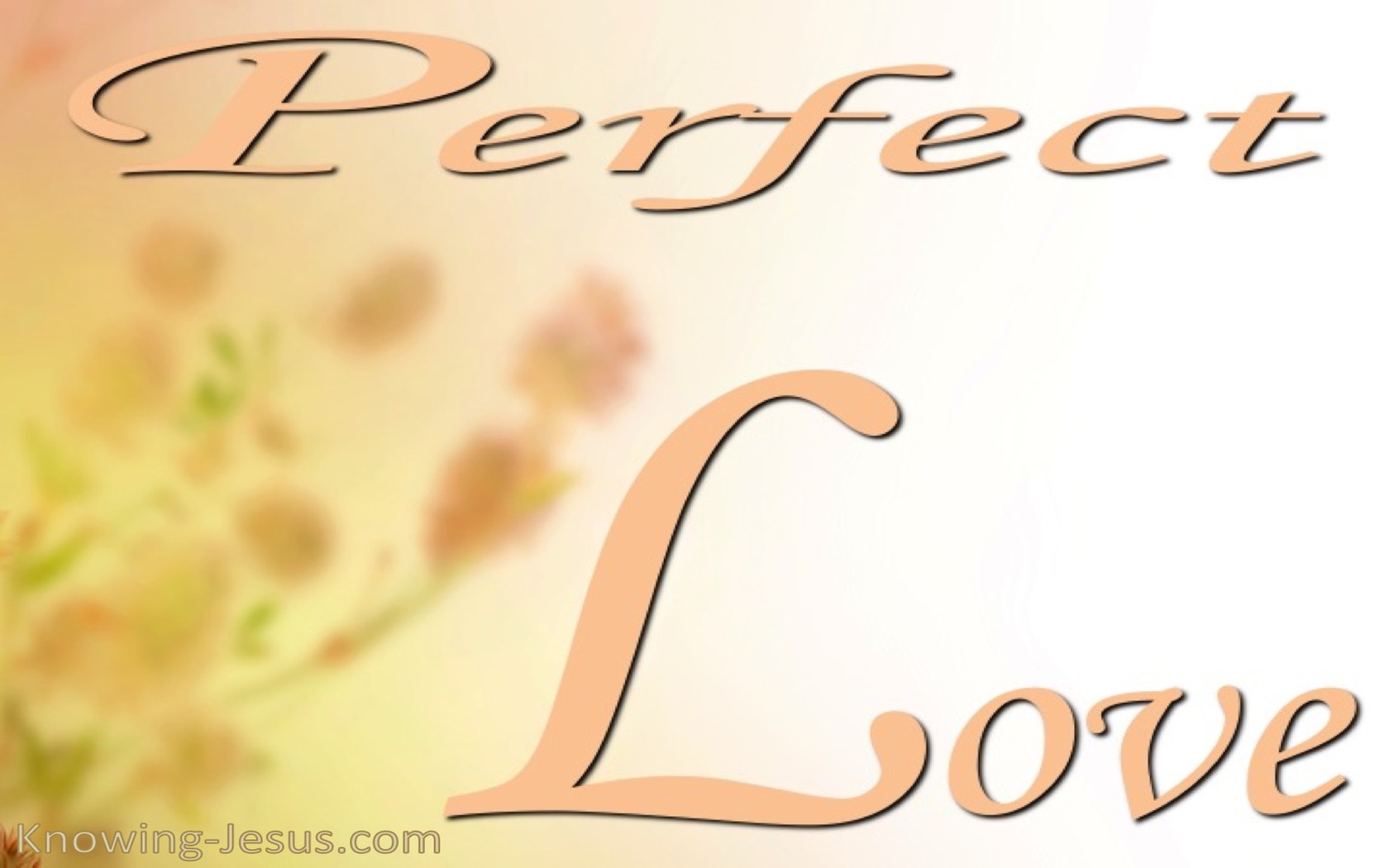 1 John 4:8 Perfect love casts out fear (white)